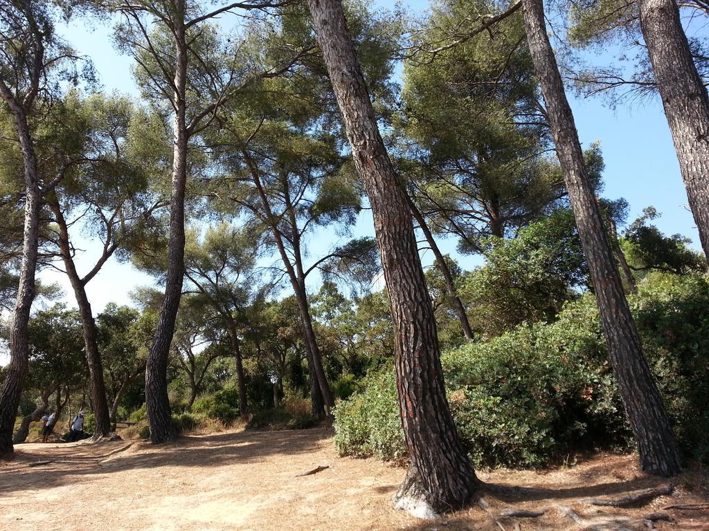 Bel Appart Style Vintage Vue Mer La Londe-les-Maures Room photo